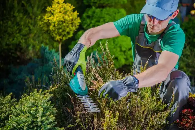 landscaping services Vardaman